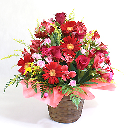 �G�߂̃A�����W�E�Ԍn