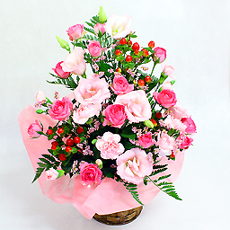 �X�v���[�o���̃A�����W�E�s���N�n