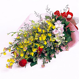 �؂₩�ȃ����ƃo���̉ԑ�