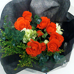 JUSTICE �h�W���X�e�B�X�h