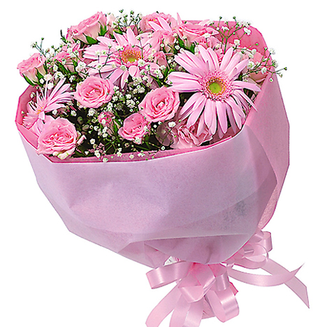 MELODY �h�����f�B�h