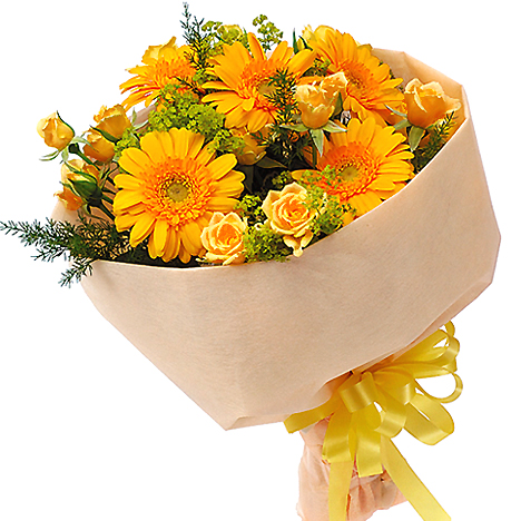 POP �h�|�b�v�h