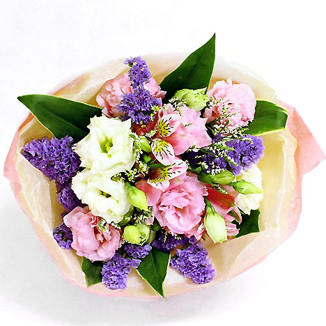 �����̂��͂��͂�����