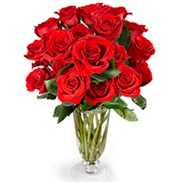 ���[�Y�Z���N�V����