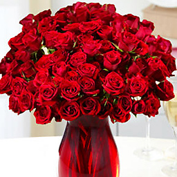 ���[�Y�Z���N�V����100