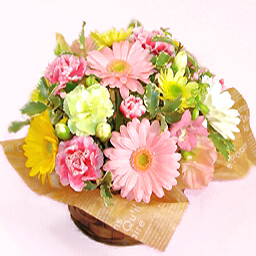 �A�C�X�N���[���E�~�b�N�X�E�A�����W