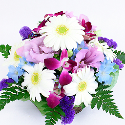 �A�C�X�N���[���E�O���[�v�E�A�����W