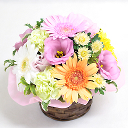 �V�[�Y�i���A�\�[�g�E�A�����W �~�b�N�X