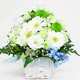 �������A�����W�i���C���X�^���_�[�h�j