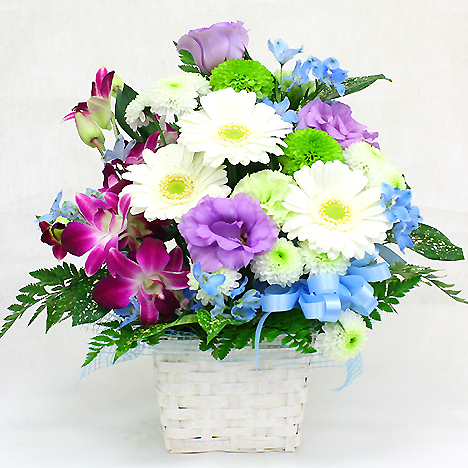 �������A�����W�i���C���X�^���_�[�h�j