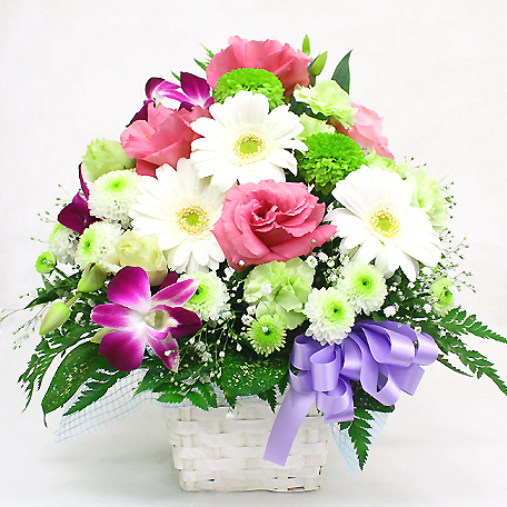 �������A�����W�i���C���X�^���_�[�h�j