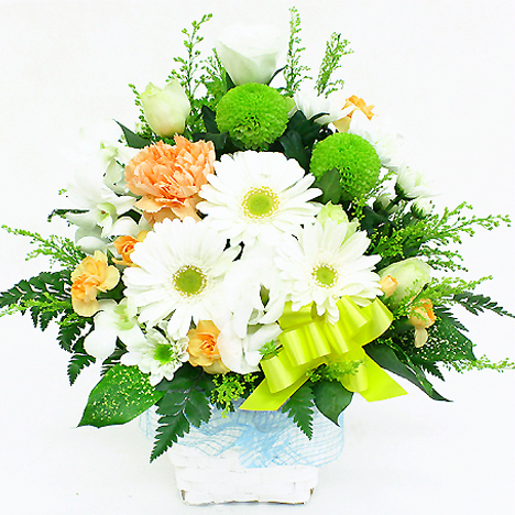 �������A�����W�i���C���X�^���_�[�h�j