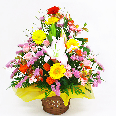 ���C���A�����W�����g�EHearty