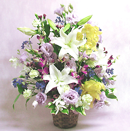 �A�����W�����g�E�����j�I��