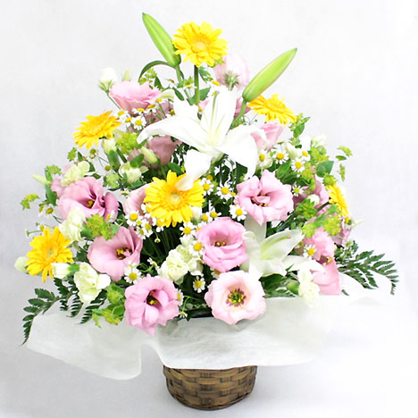 �A�����W�����g�E�n�[���j�[