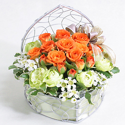 �f�U�C�i�[�Y�A�����W�i�I�����W�n�X�v���[�o���j