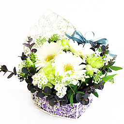 �G���[���n�[�g