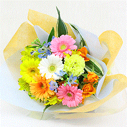 �V�[�Y�i���A�\�[�g�E�ԑ�