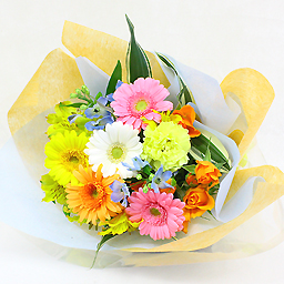 �V�[�Y�i���A�\�[�g�E�ԑ�