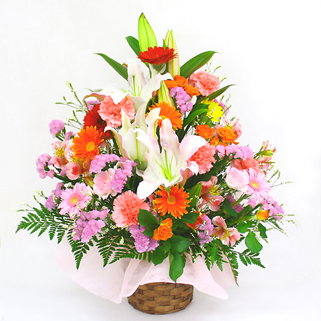 ���C���A�����W�����g�EPrecious