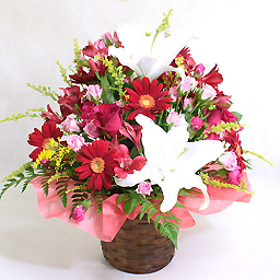 �A�����W�����g�E�r�r�b�h