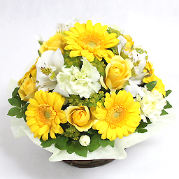 �A�C�X�N���[���E�������E�A�����W