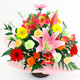 ���C���A�����W�����g�ESweetie