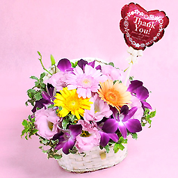 �u�T���L���[�o���[���s�b�N�v�̃A�����W