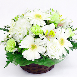 �A�C�X�N���[���E�o�j���E�A�����W