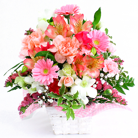 ���C���A�����W�����g�ECutie