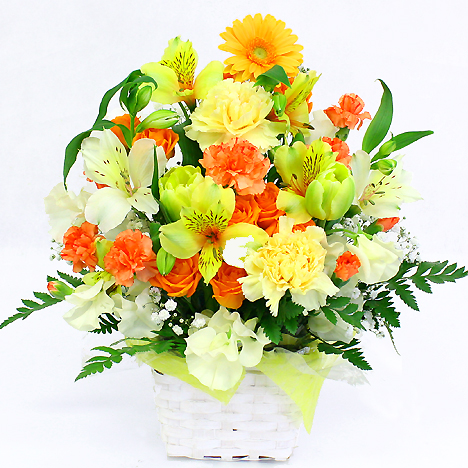 ���C���A�����W�����g�ECutie