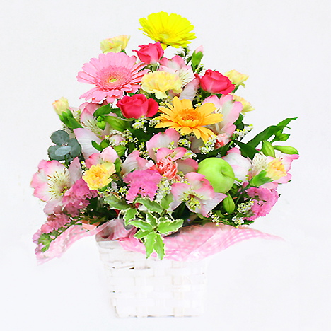 ���C���A�����W�����g�ECutie