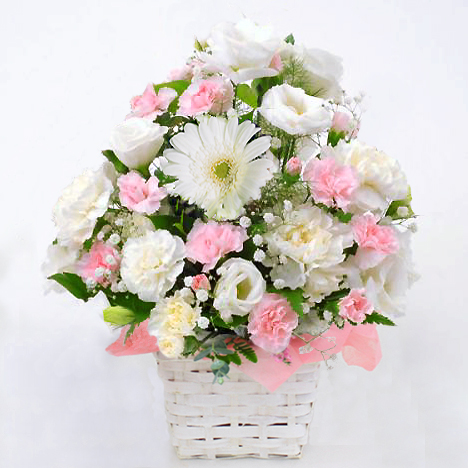 ���C���A�����W�����g�ECutie