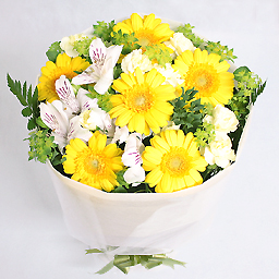 �A�C�X�N���[���E�������E�ԑ�