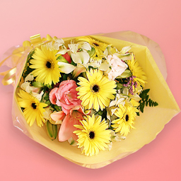 �V�[�Y�i���X�C�[�g�E�������E�ԑ�