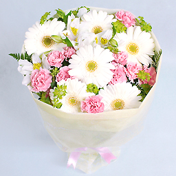 �A�C�X�N���[���E�o�j���E�ԑ�