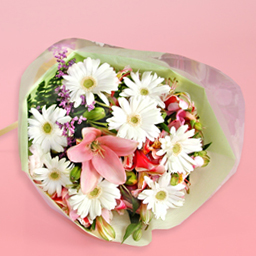 �V�[�Y�i���X�C�[�g�E�o�j���E�ԑ�