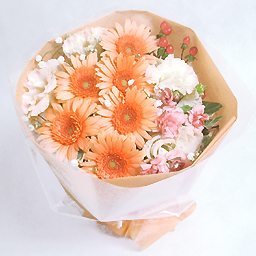 �A�C�X�N���[���E�A�v���R�b�g�E�ԑ�