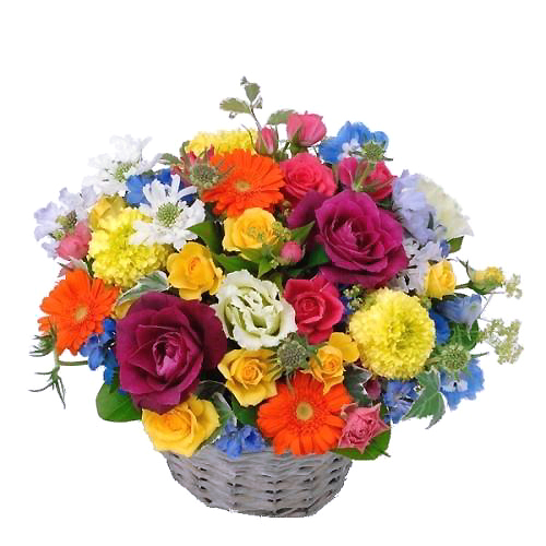 お任せアレンジメント(JFN)