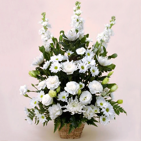 �������A�����W�E����(JFN FF-006)