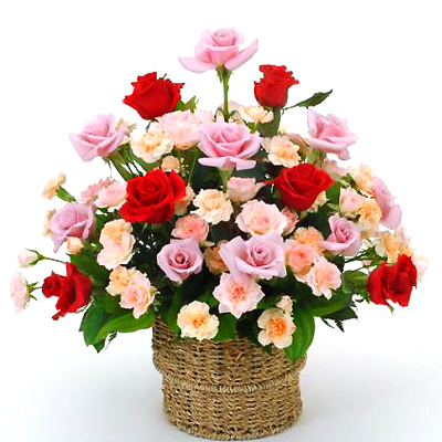 スペシャルスマイル(JFN MF-014)