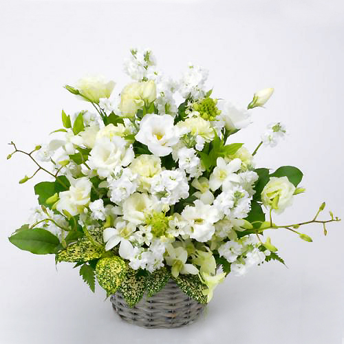 �������A�����W�����g(JFN)