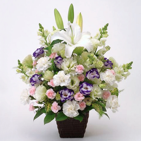 �������A�����W�E�_�C(JFN FF-012)