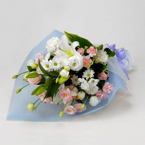 �������ԑ�(JFN)