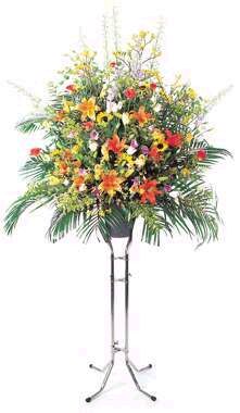 �X�^���h�ԁE1�i �g�F�n