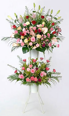 �X�^���h�ԁE2�i