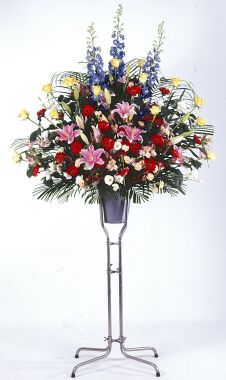 �X�^���h�ԁE1�i �s���N�n