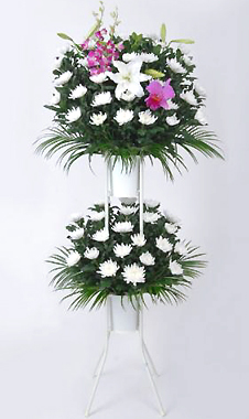 �X�^���h�ԁE2�i �i����������j