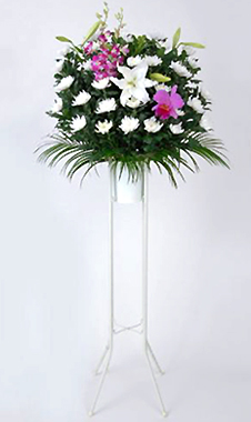 �X�^���h�ԁE1�i �i����������j