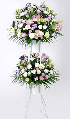 �X�^���h�ԁE2�i �i�������F�t���j